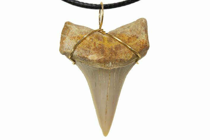 Fossil Mako Shark Tooth Necklace - Bakersfield, California #318845